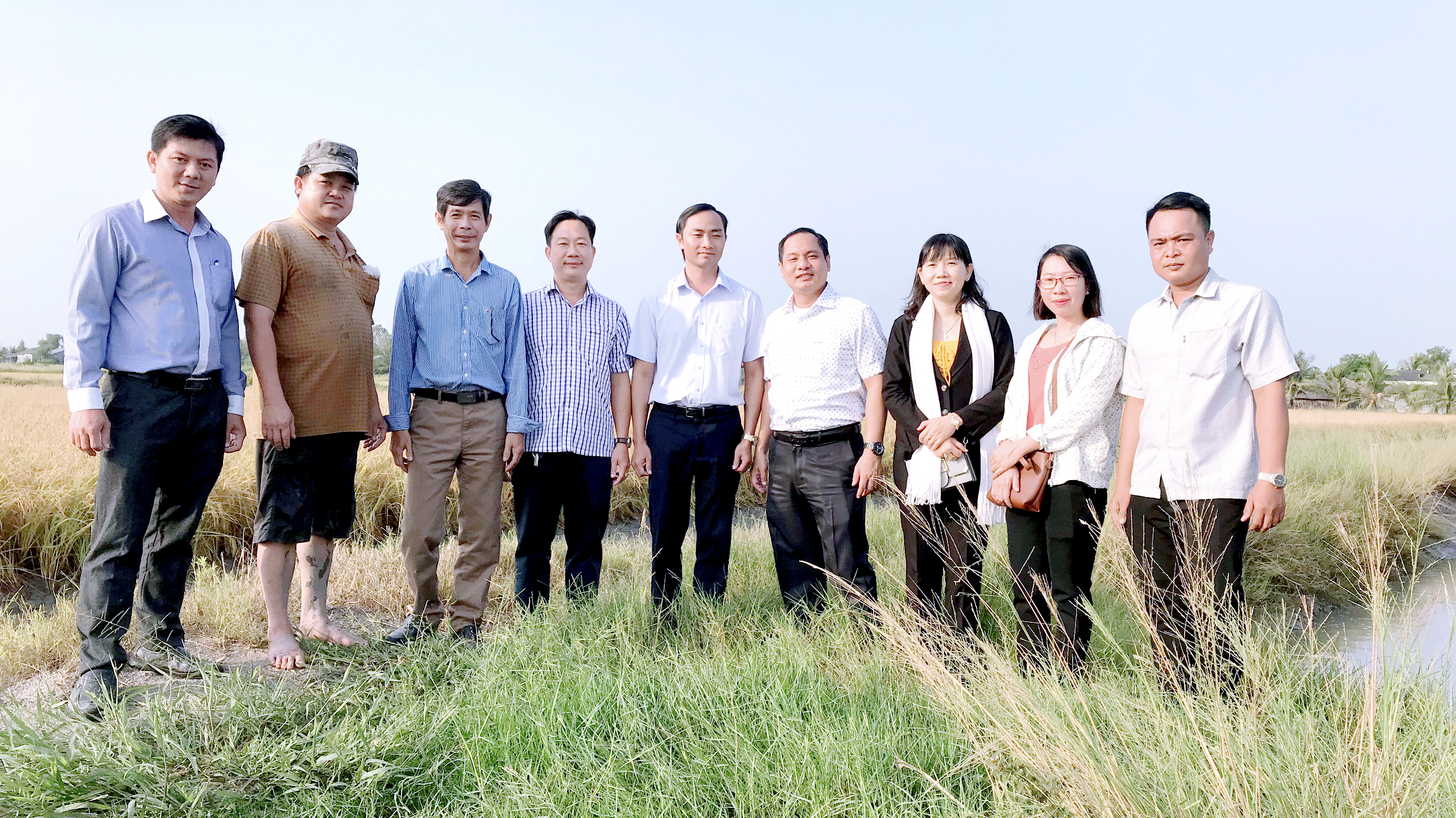 Trường Đại học Bạc Liêu đồng hành cùng nông dân Ninh Thạnh Lợi trong mô hình tôm càng xanh toàn đực.